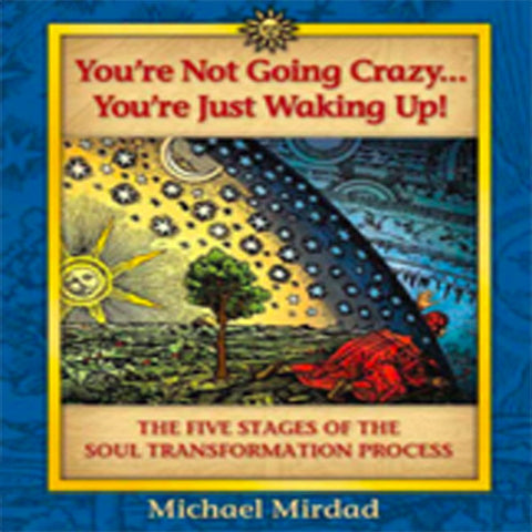 You're Not Going Crazy... You're Just Waking Up Book