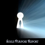 Souls Purpose - Career Insight Report